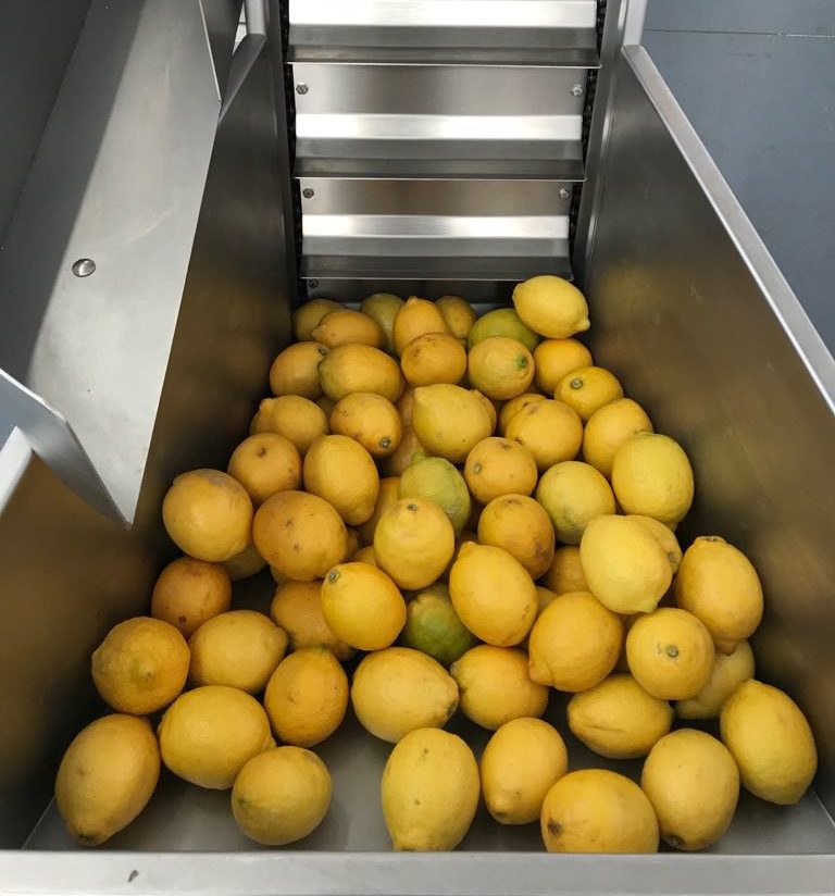 Industrial lemon juicer 